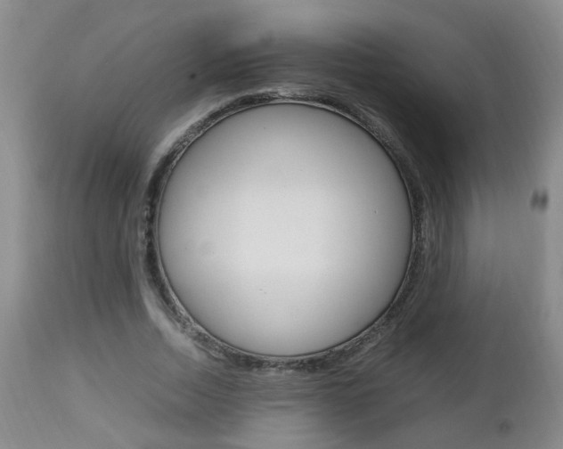 X0000112790730200908210937