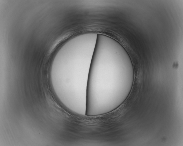 X0000112790731200908210938