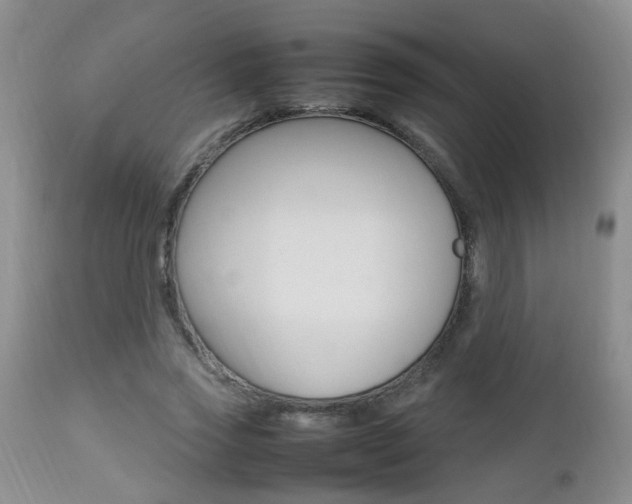 X0000112790733200908210938