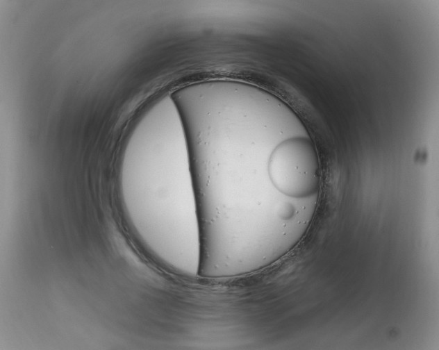 X0000112790734200908210938