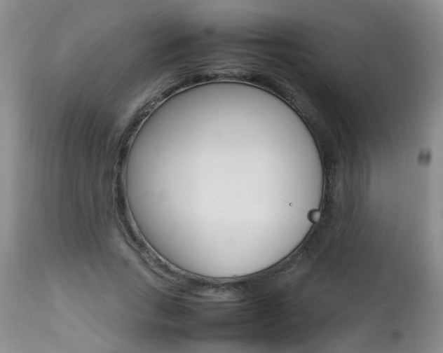 X0000112790735200908210938