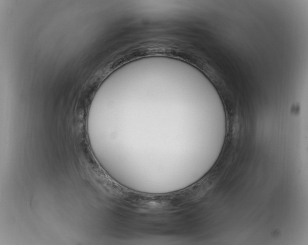 X0000112790737200908210938