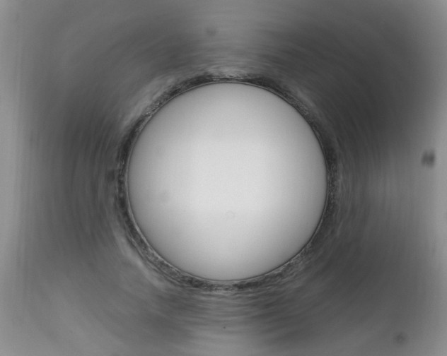 X0000112790738200908210938