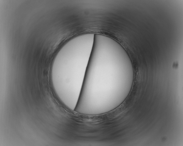 X0000112790739200908210938