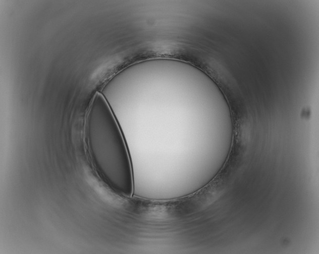 X0000112790740200908210938