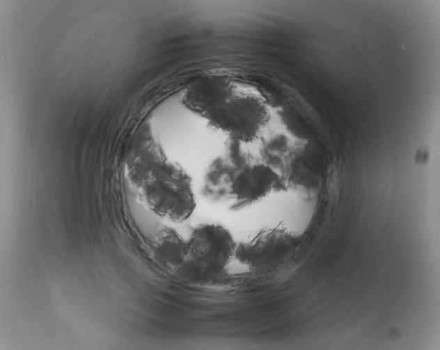 X0000112790741200908210938
