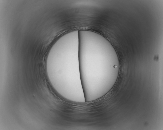 X0000112790743200908210938