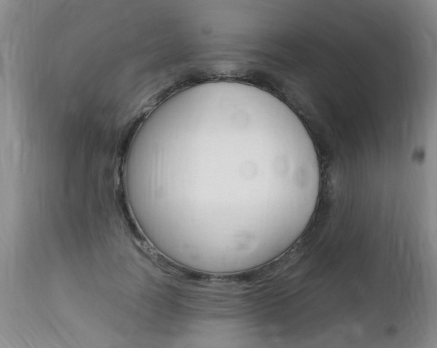 X0000112790746200908210938