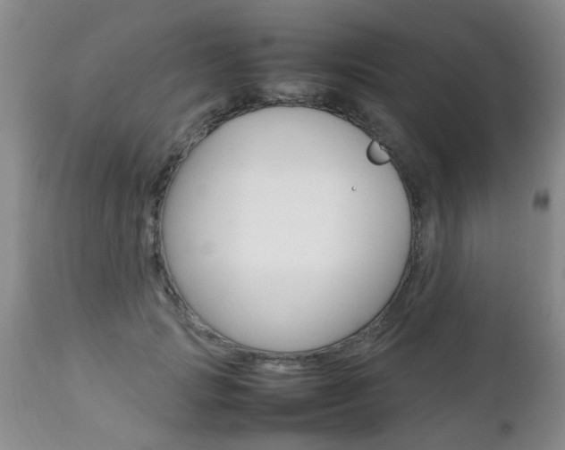 X0000112790749200908210938