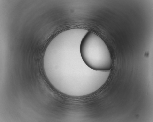 X0000112790750200908210938