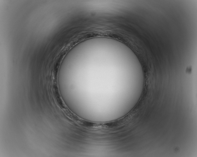 X0000112790752200908210938