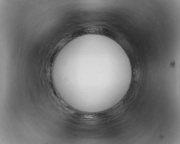 X0000112790753200908210938