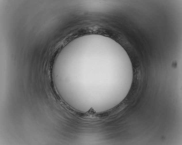 X0000112790754200908210938
