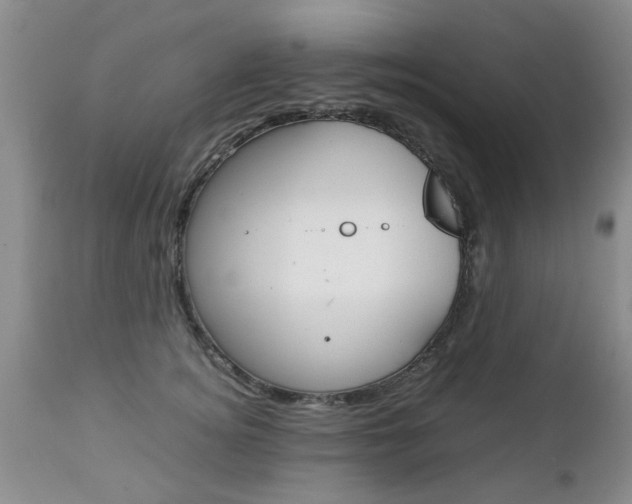 X0000112790756200908210938