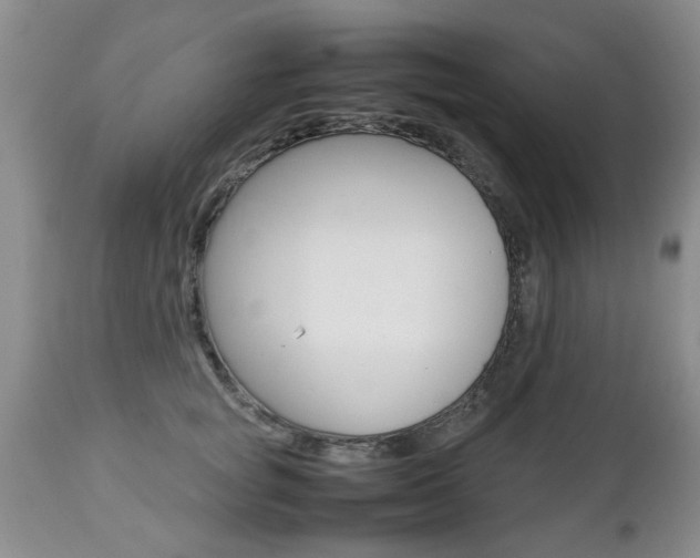 X0000112790757200908210938