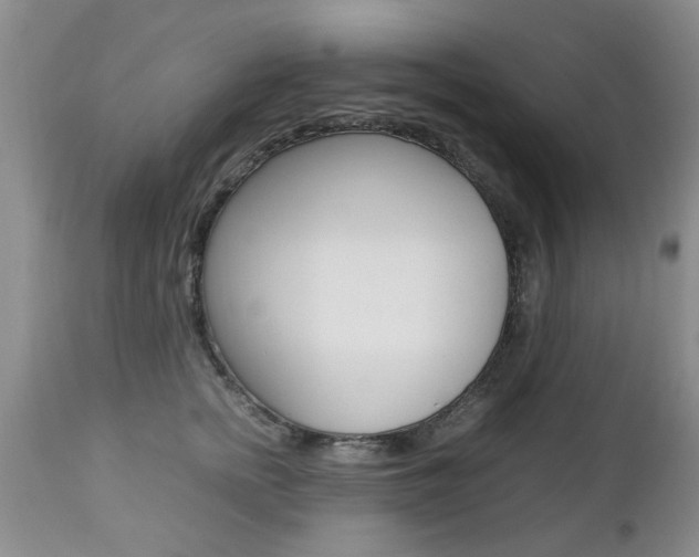 X0000112790758200908210938