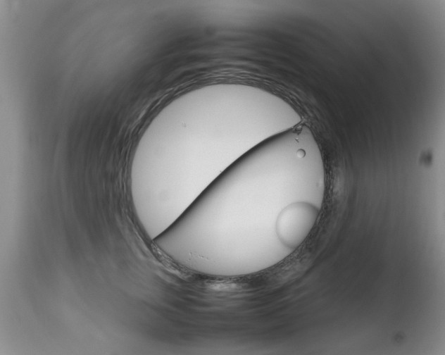 X0000112790759200908210938
