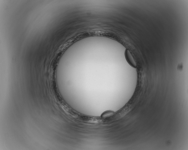 X0000112790760200908210938