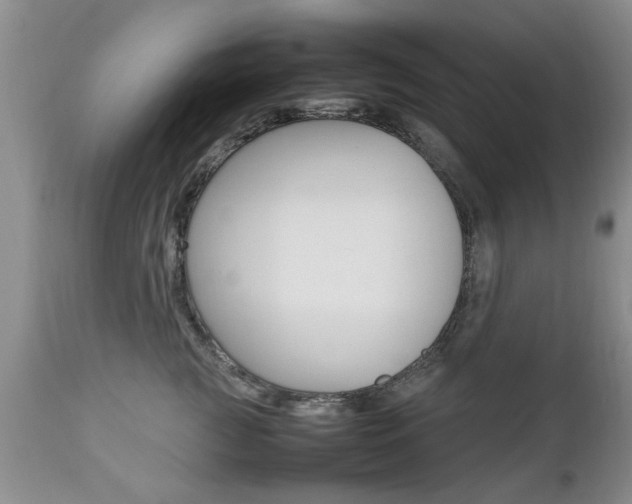 X0000112790761200908210938