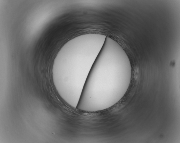 X0000112790763200908210938