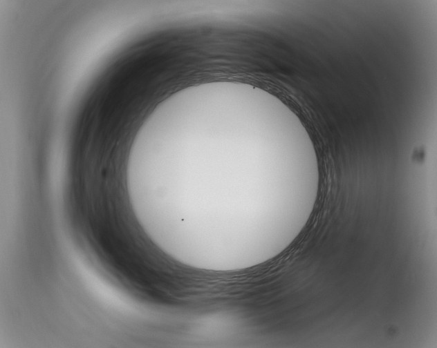 X0000112790764200908210938