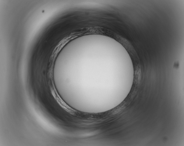 X0000112790765200908210938