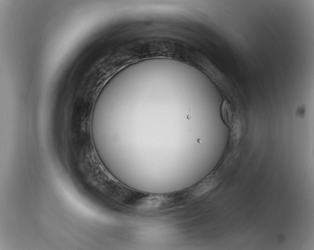 X0000112790766200908210938