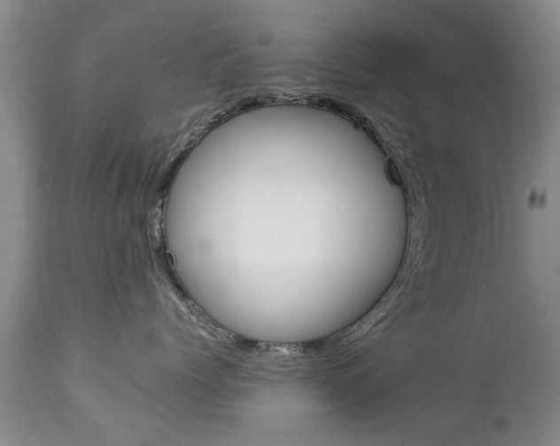 X0000112790768200908210938
