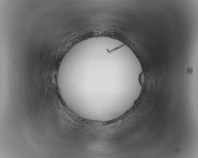 X0000112790770200908210937