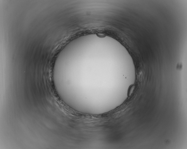 X0000112790772200908210937
