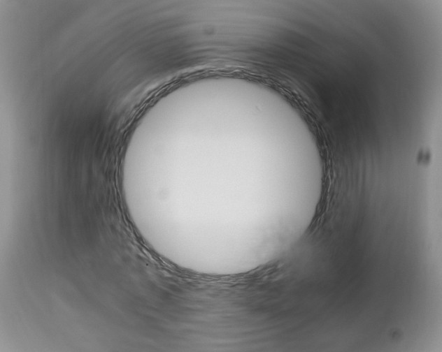 X0000112790773200908210937