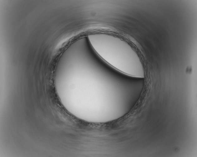 X0000112790775200908210937