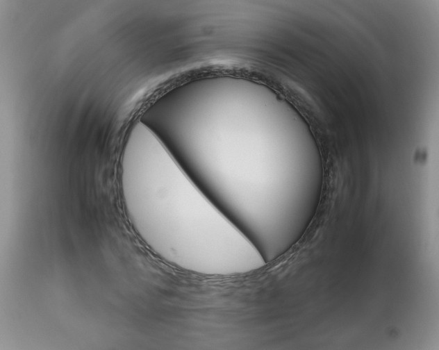 X0000112790776200908210937