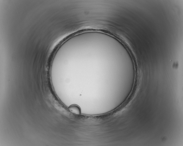 X0000112790779200908210937