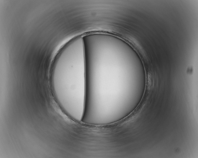 X0000112790780200908210937