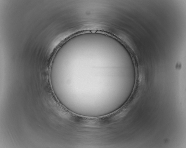 X0000112790781200908210937