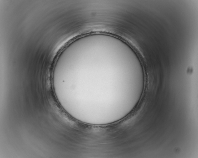X0000112790782200908210937