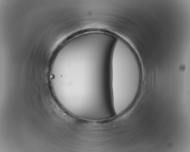 X0000112790783200908210937