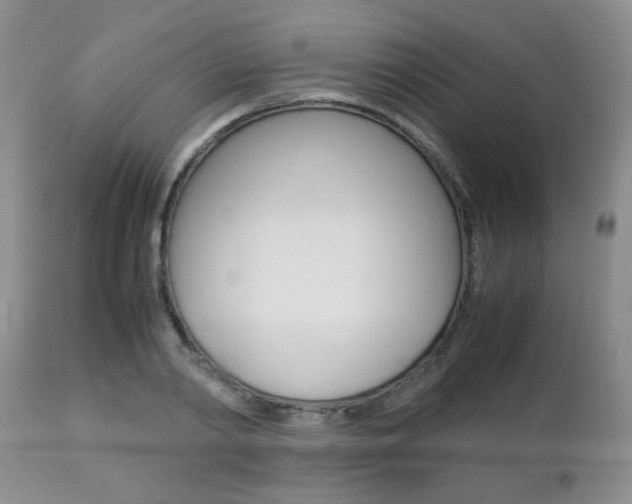 X0000112790790200908210937