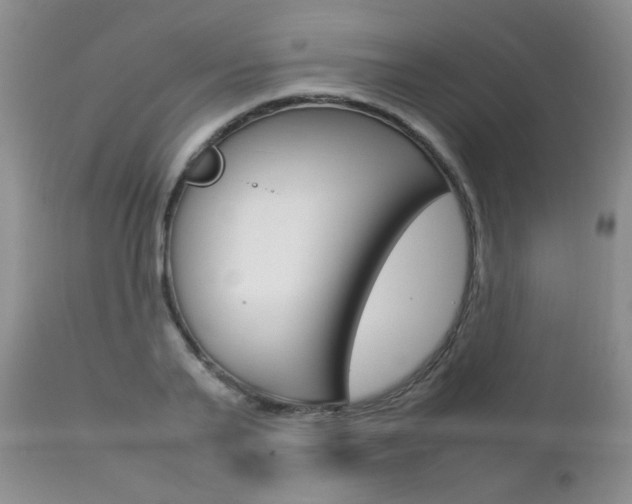 X0000112790791200908210937