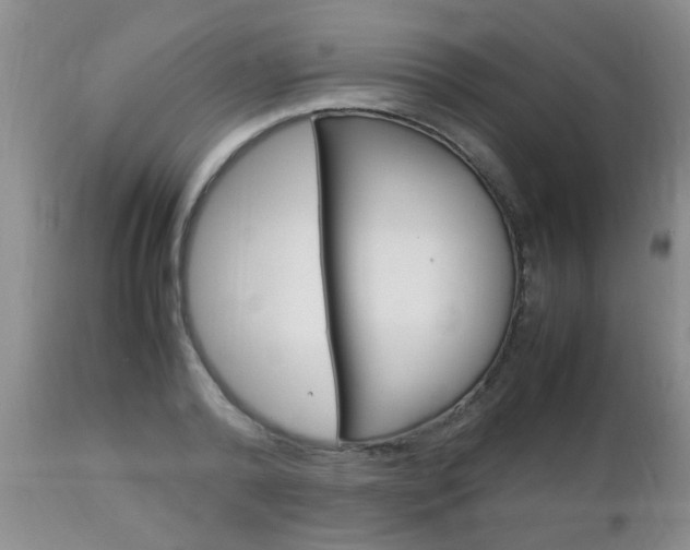 X0000112790792200908210937