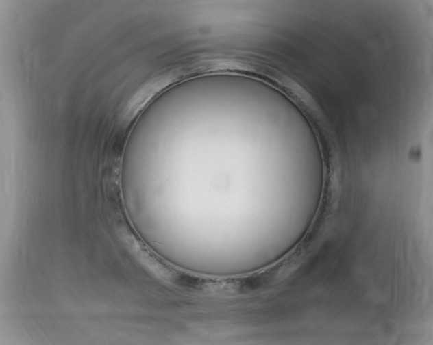 X0000112790793200908210937