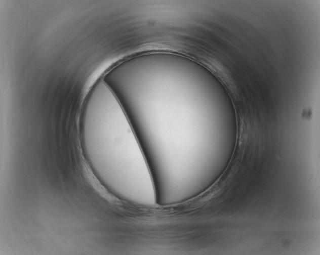 X0000112790796200908210937