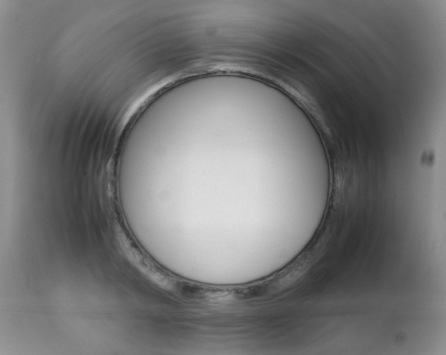 X0000112790798200908210937