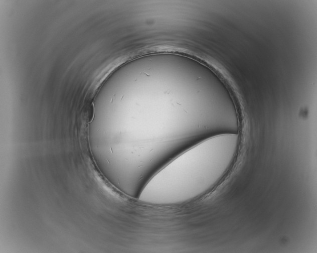 X0000112790801200908210937