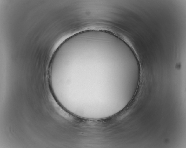 X0000112790803200908210937