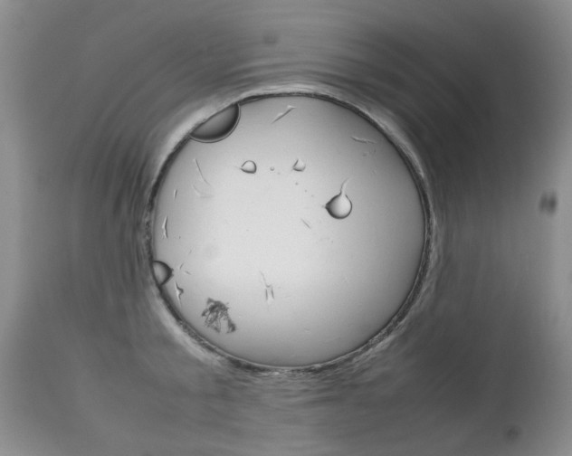 X0000112790805200908210937