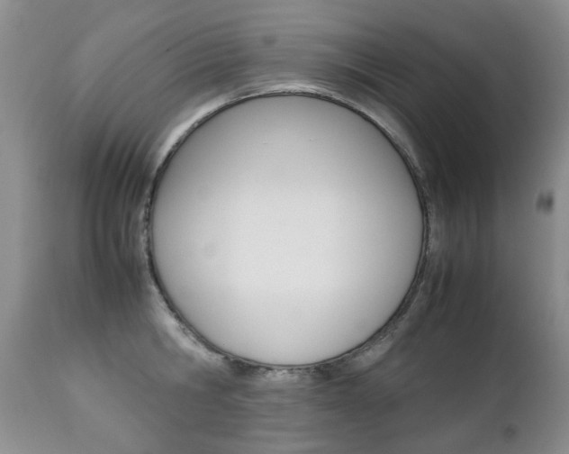 X0000112790806200908210937