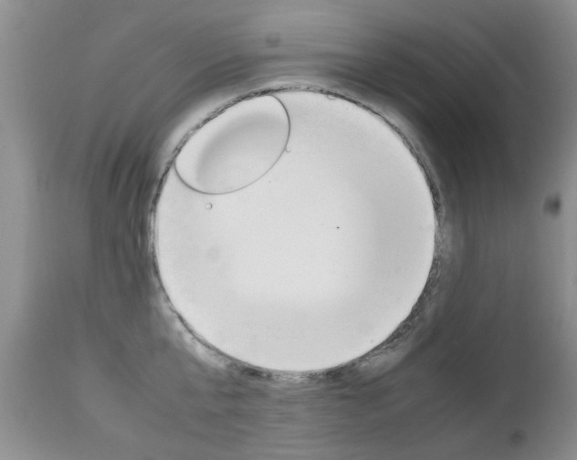 X0000112790807200908210937