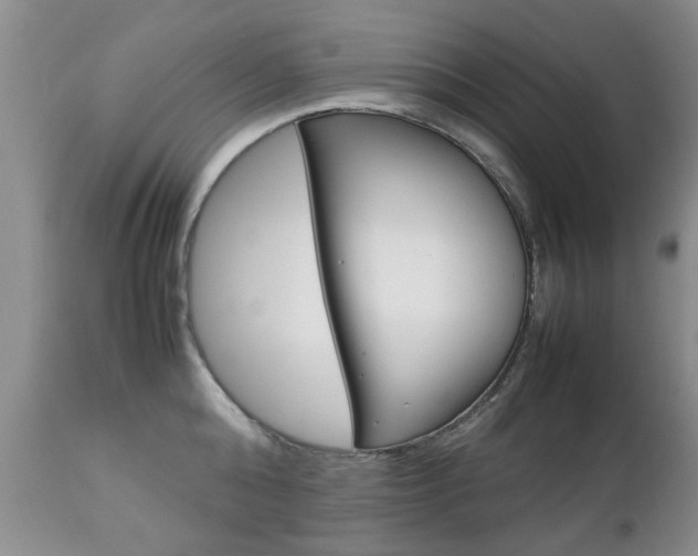 X0000112790808200908210936